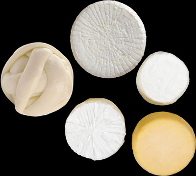 Fotografía de quesos frescos: queso oaxaca, queso panela, queso canasto, queso asadero, queso sello de oro