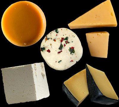 Fotografía de quesos gourmet artesanales, queso botanero, queso Zactecas, queso cotija, queso parmesano